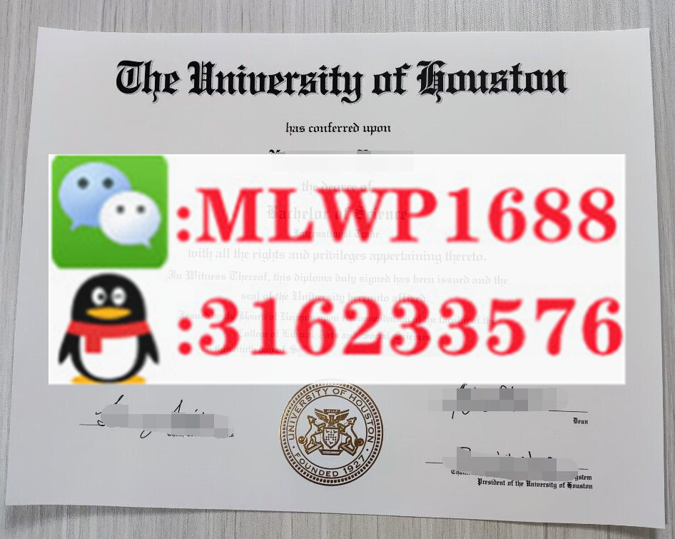 休斯顿大学 University of Houston 毕业证模版 成绩单样本